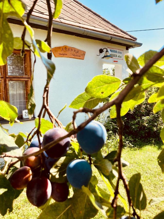 Ubytovanie U Aranky Tiszacsernyő Kültér fotó
